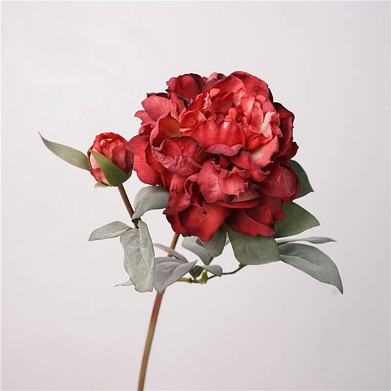 Sweet Home Deco – Großhandel Künstliche Blumen – 24'' Künstliche Pfingstrose mit getrocknetem Look, Frühlingspfingstrosen, langer Stiel3