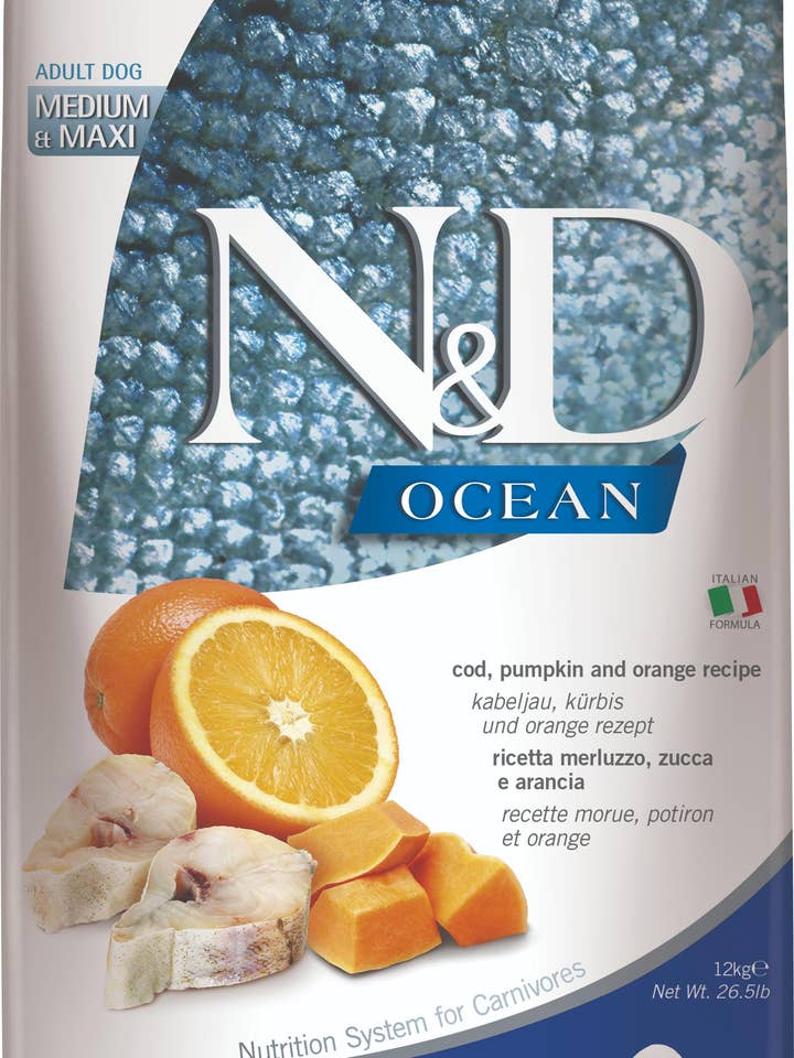 N&D Ocean Cod with Pumpkin Adult Medi/Maxi 12 kg. voor wholesale door Finest Petfoods