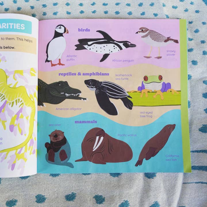 Environerd - Wholesale Nature & Outdoors - Aquarium Nature Journal6