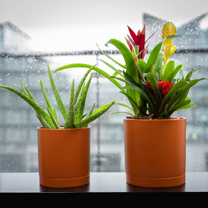 SiegmuntTrade LLC - Wholesale Plant Pot - 4 Pack Plastic Plant Pots Indoor, 4/5/6/7 Inches12