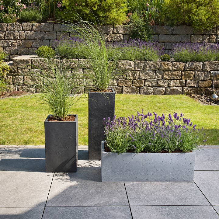 Scheurich - Vente Pot - Pot à fleurs et jardinière en plastique C-Cube High 24010