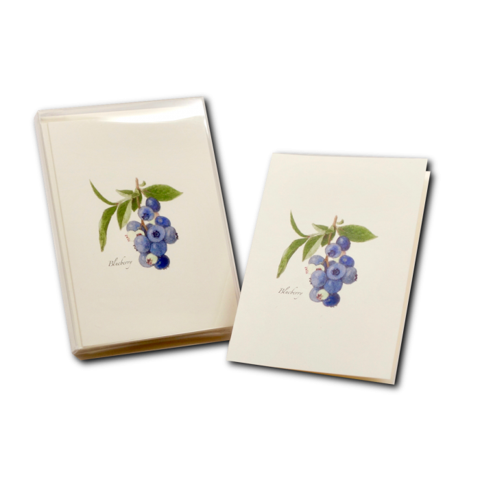 Earth Sky + Water - Wholesale Stationery/Notecard Set - Blueberry Recycled Paper Notecard Set2