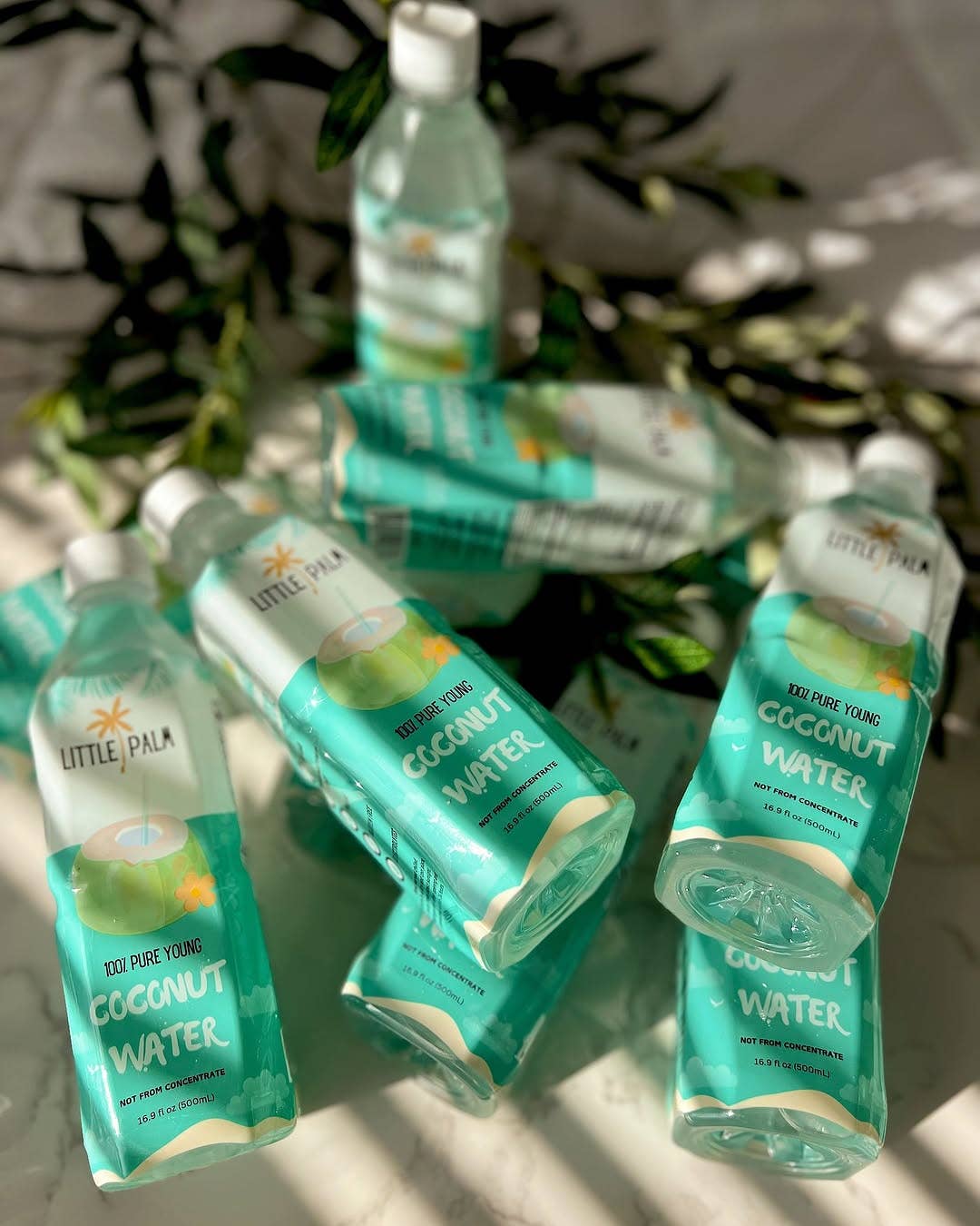 Little Palm - Wholesale Flavored/Infused Water (Non-Carbonated) - Little Palm - Young Coconut Water6