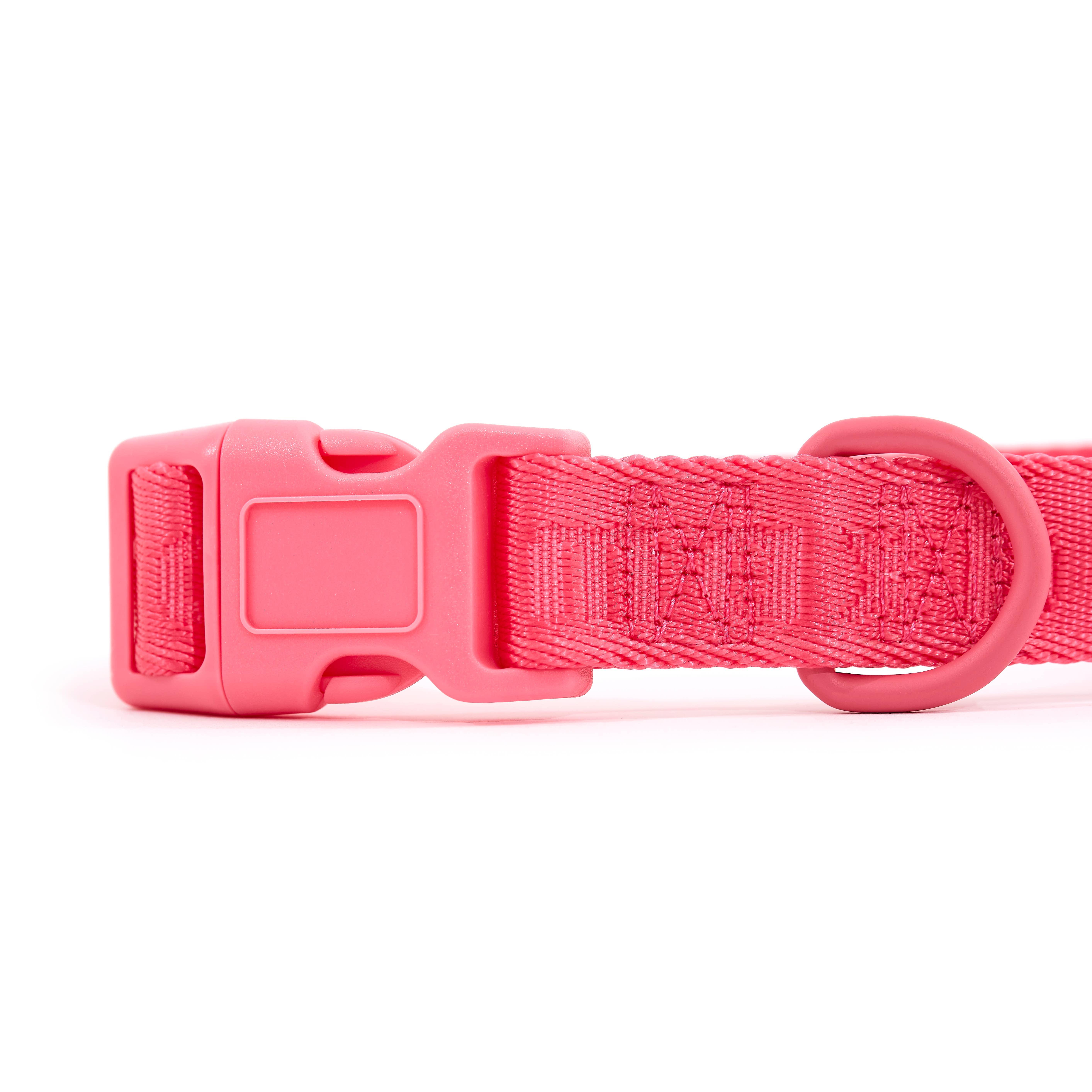 ARISTOPET - Wholesale Pet Collar - Dog - SIGNATURE COLLAR1