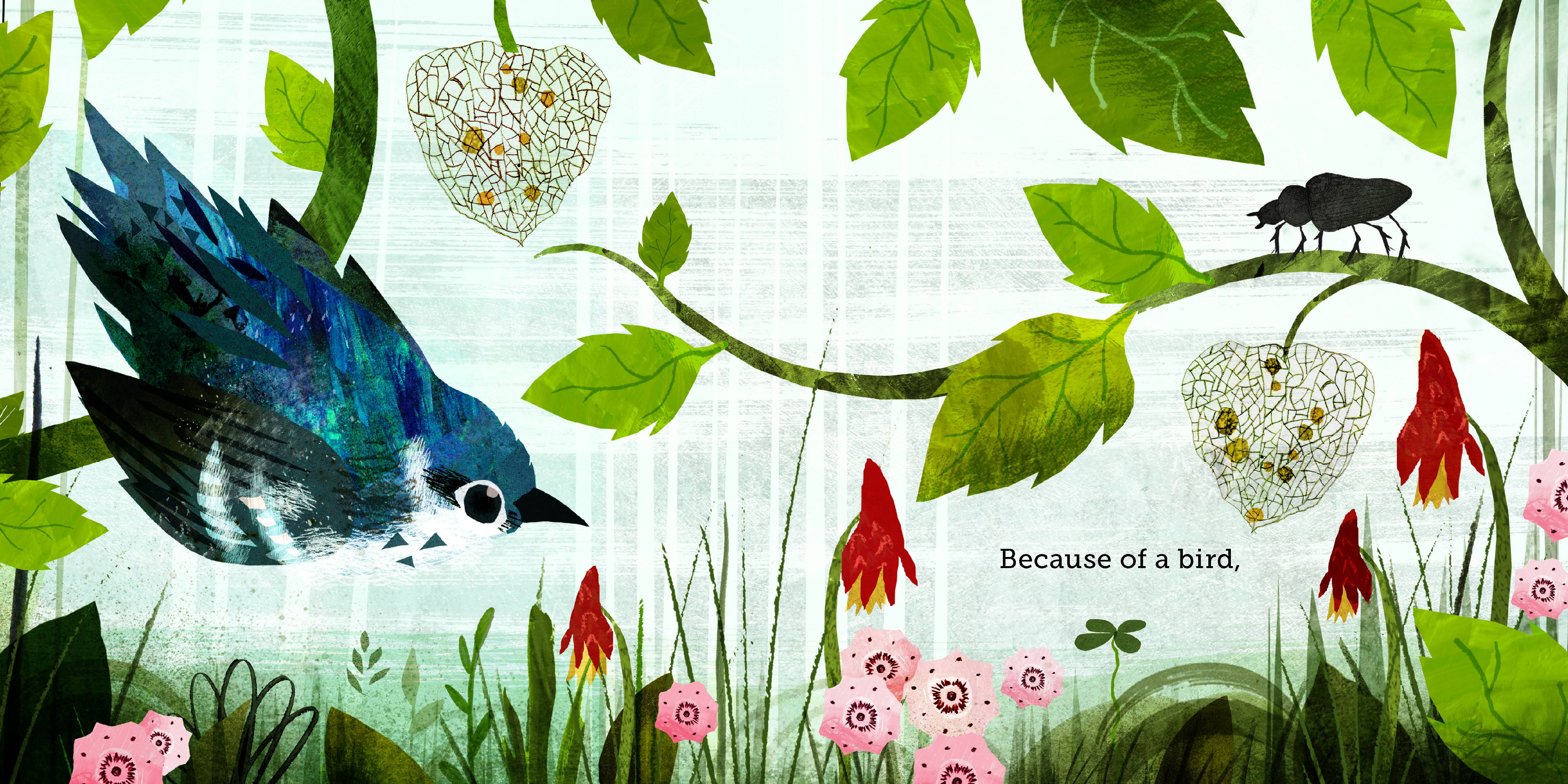 Chronicle Books - Wholesale Preschool Book (3-5) - Because of an Acorn5