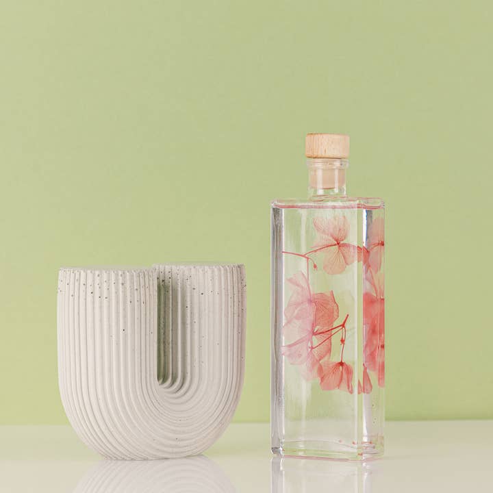 Theophile Berthon - Wholesale Live Plant - L'Herbarium Hortensia rose - Submerged flower5