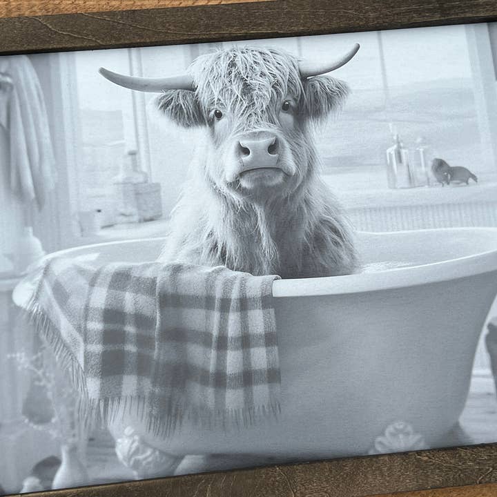 B & C Signs – Großhandel Schilder – Highland Cow Badewanne 21