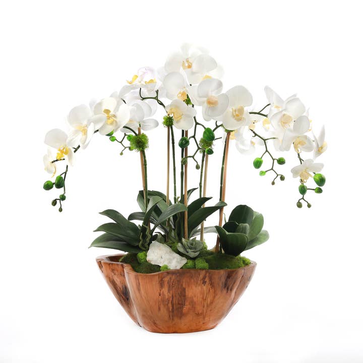 White Real Touch Phalaenopsis Orchids in Rustic Teak Bowl for wholesale by JENNY SILKS