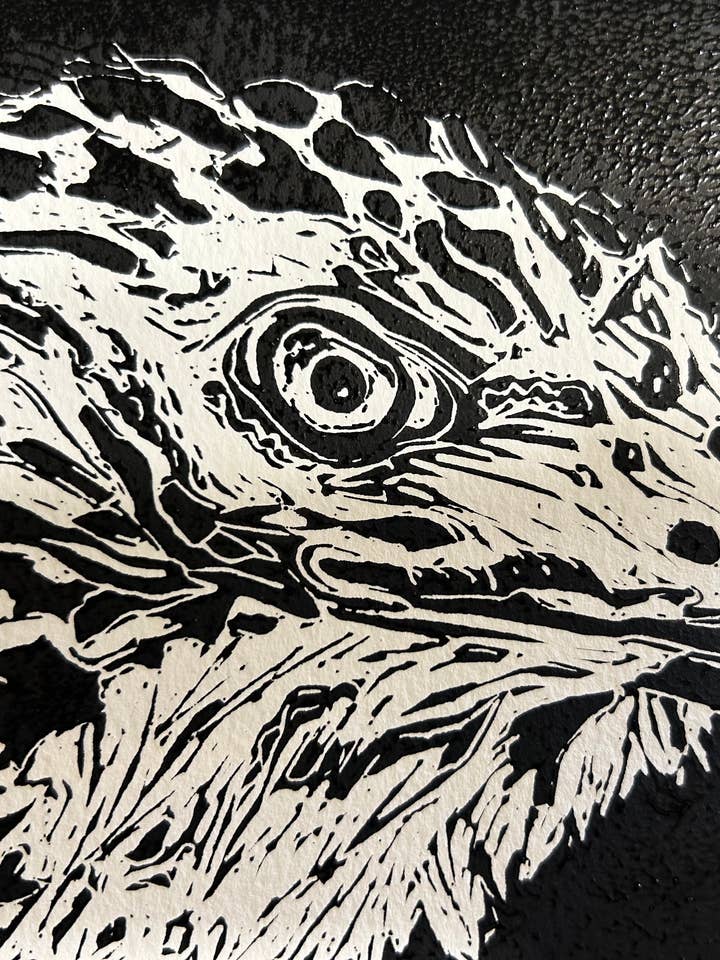 Fledgling - Original Print, Linocut, Artwork for wholesale by RCBenjamin Art