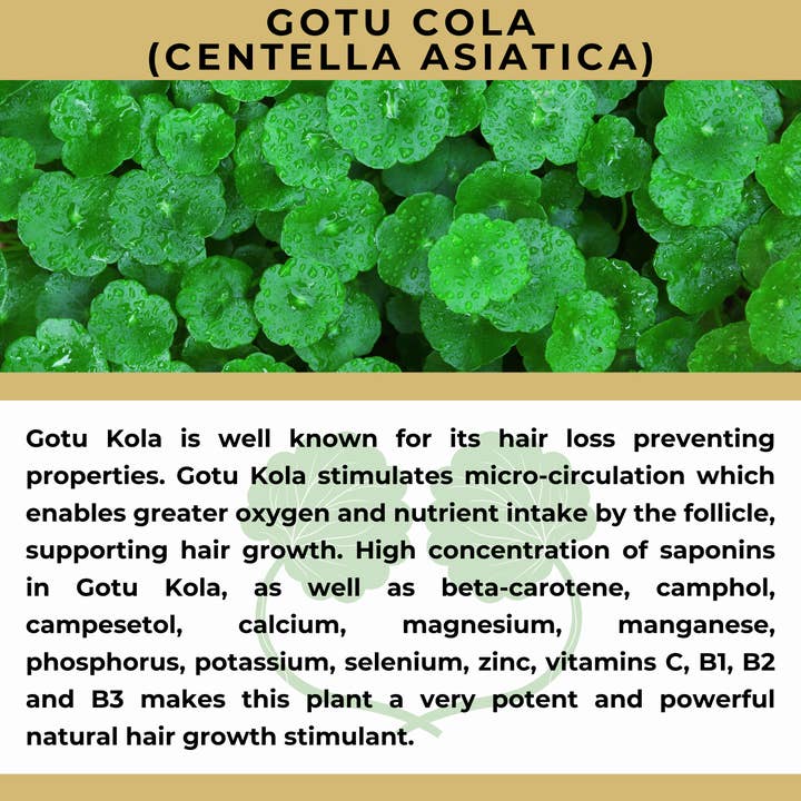 The Sacred Essence - Wholesale Hair serum - MANA Ayurveda Hair Restoration Serum - Hair Superpower24