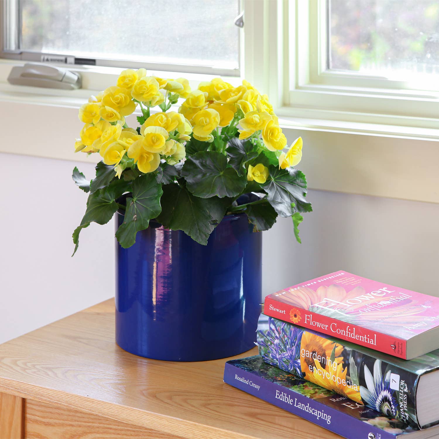 ACHLA Designs – wholesale Plant pot – Cylinder Pot, French Blue2