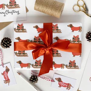 Dachshund Puppy With Gift Wrapped Present by Brand New Images