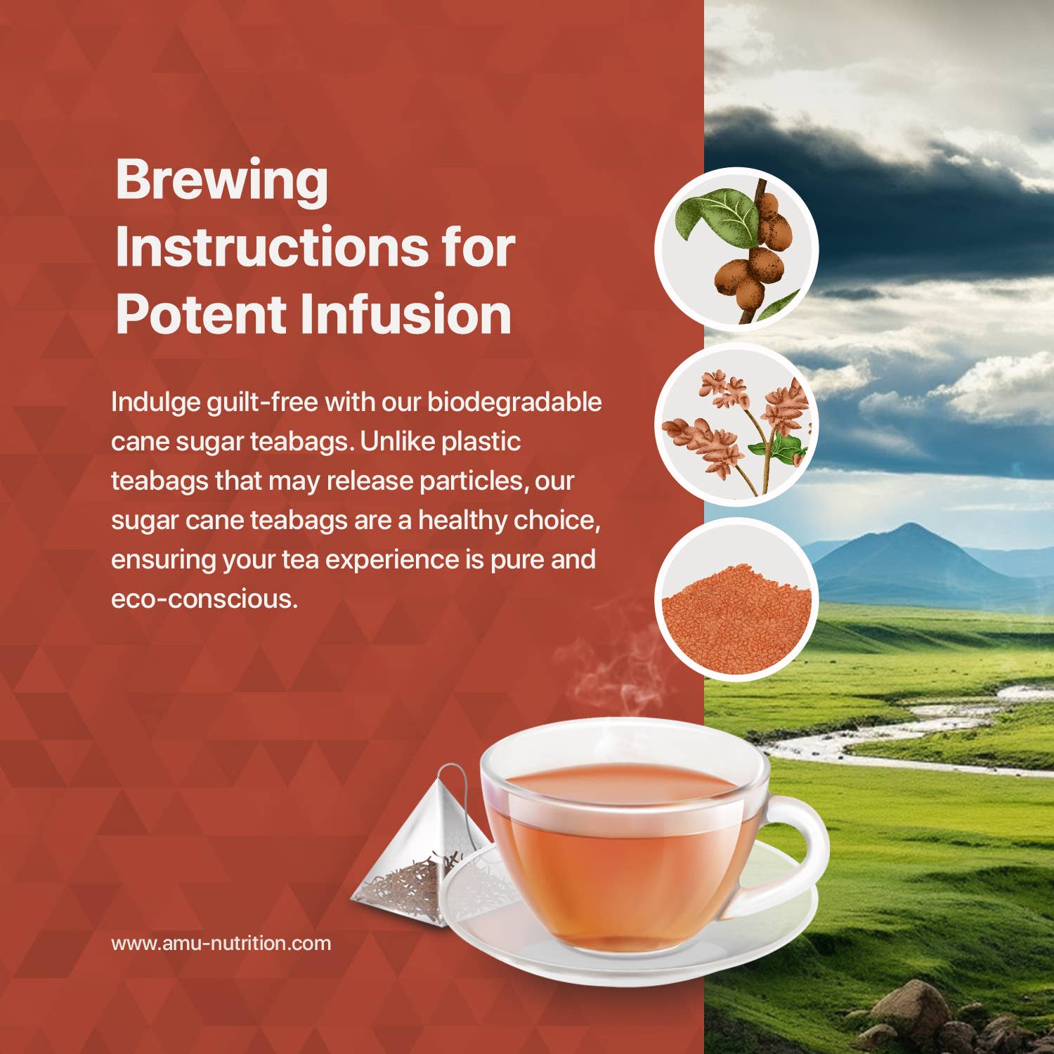 Amu Nutrition - Vente Sachets de thé - Thé Équilibre Sucre - 10 sachets de thé pour diabétiques et prédiabétiques4