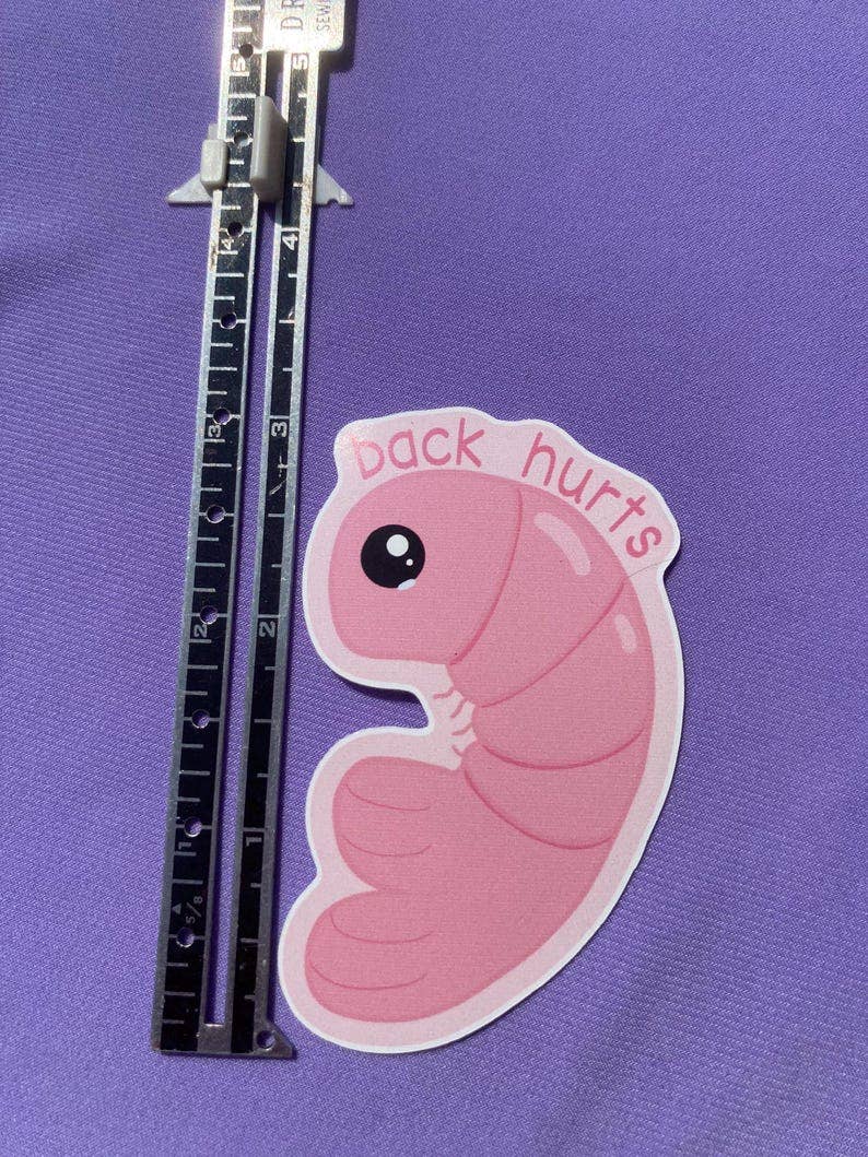 AstroManatee Shop - Wholesale Sticker - Shrimp Back Hurts 2.5” Waterproof Sticker5