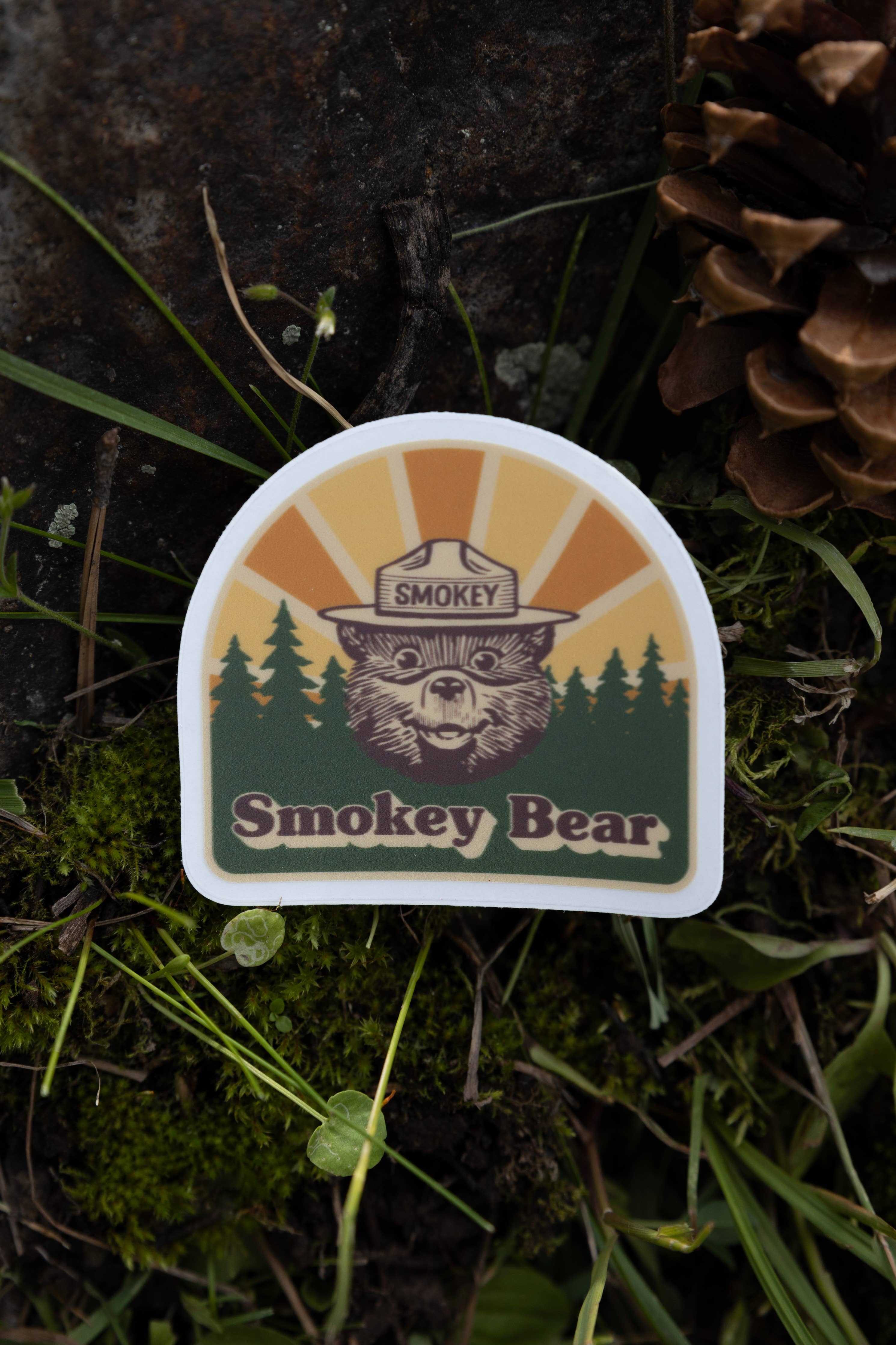 Wildtree - Wholesale Sticker - Smokey Bear Sticker3