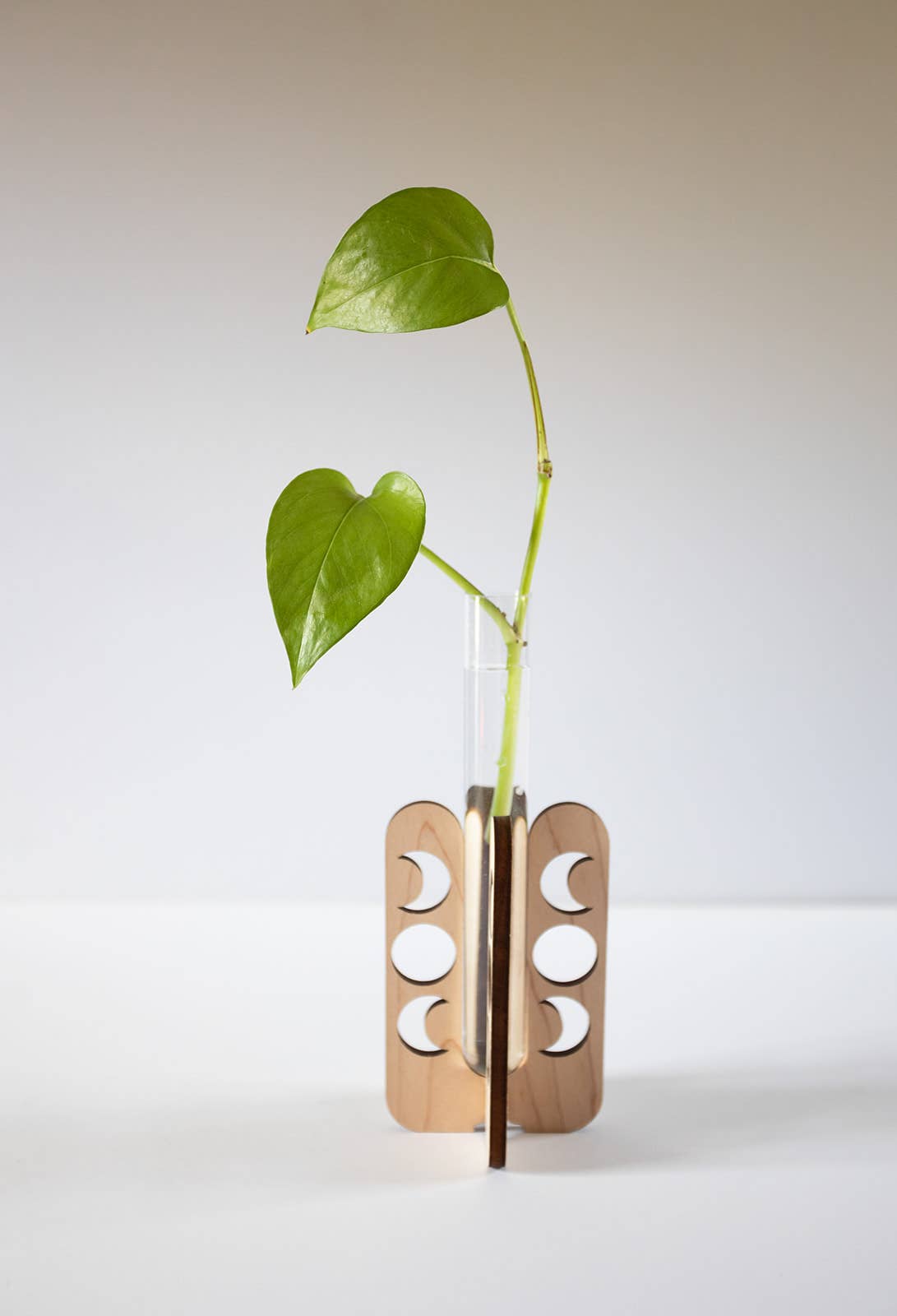 PlantsNsht – Vaso de plantas por atacado – Estação de Propagação de Mesa Fases da Lua0