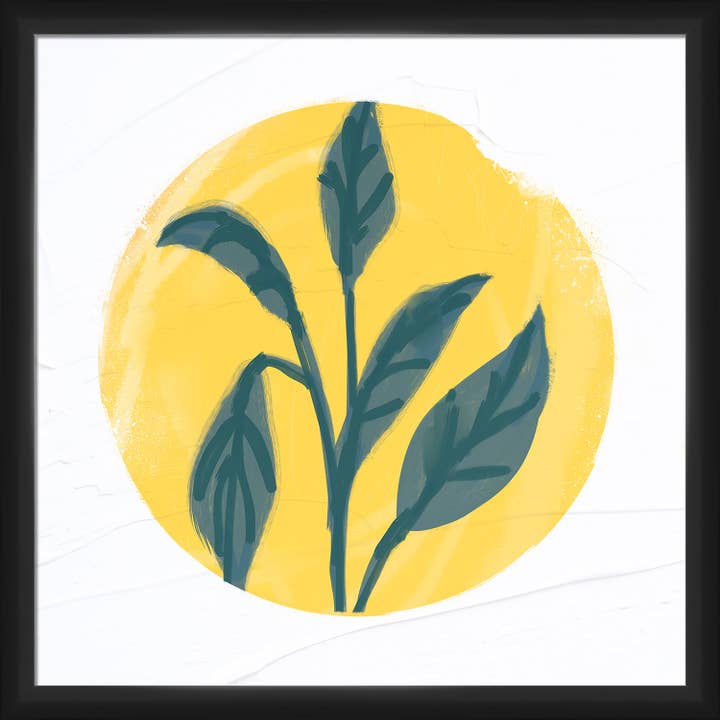 Houseplants Iv Décoration murale encadrée 20" x 20" pour la vente par PTM Images