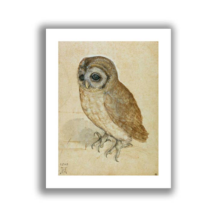 Stampa d'arte Fine art Civetta di Durer arte da parete senza cornice per la vendita all'ingrosso da parte di Go To Design