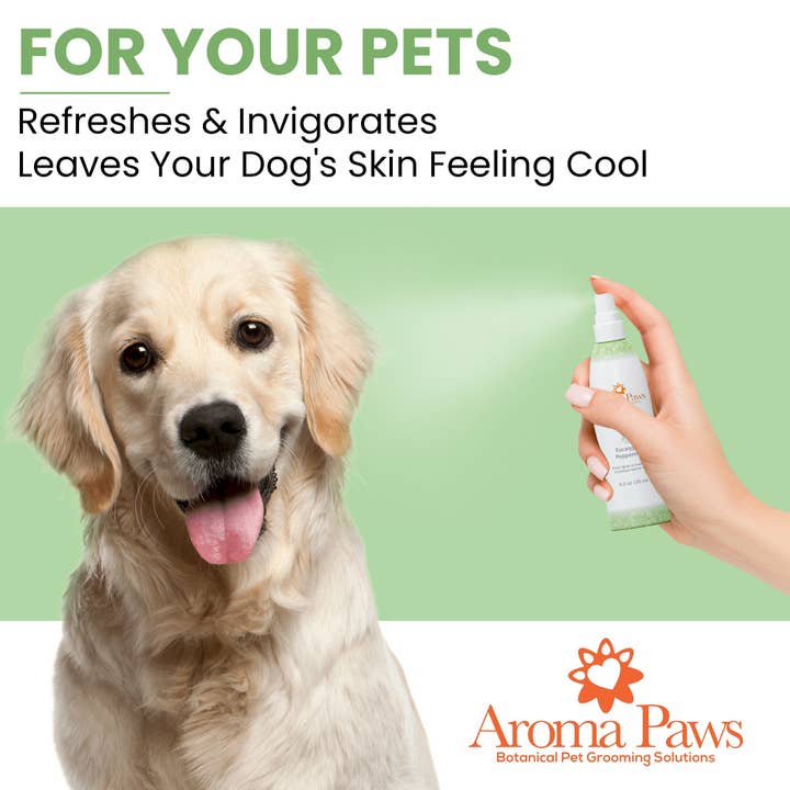 Aroma Paws – Großhandel Haustierspray – Hund – 4,5 Unzen Hundekitt Spray Eukalyptus Peppermint1