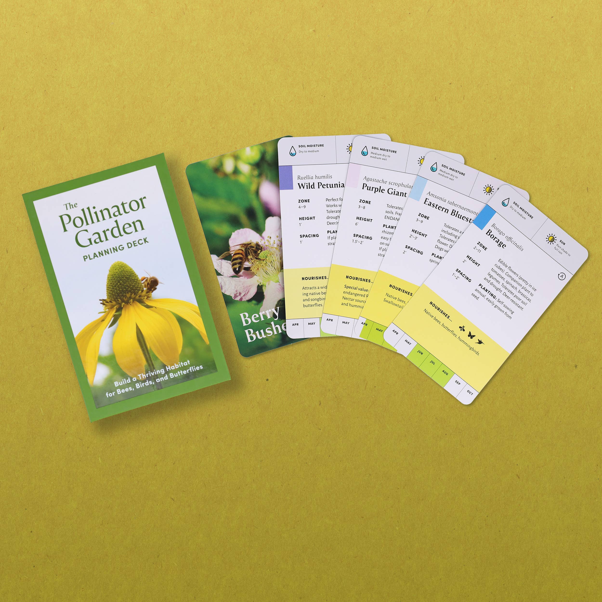Chronicle Books - Wholesale Card Game - Pollinator Garden Planning Deck10