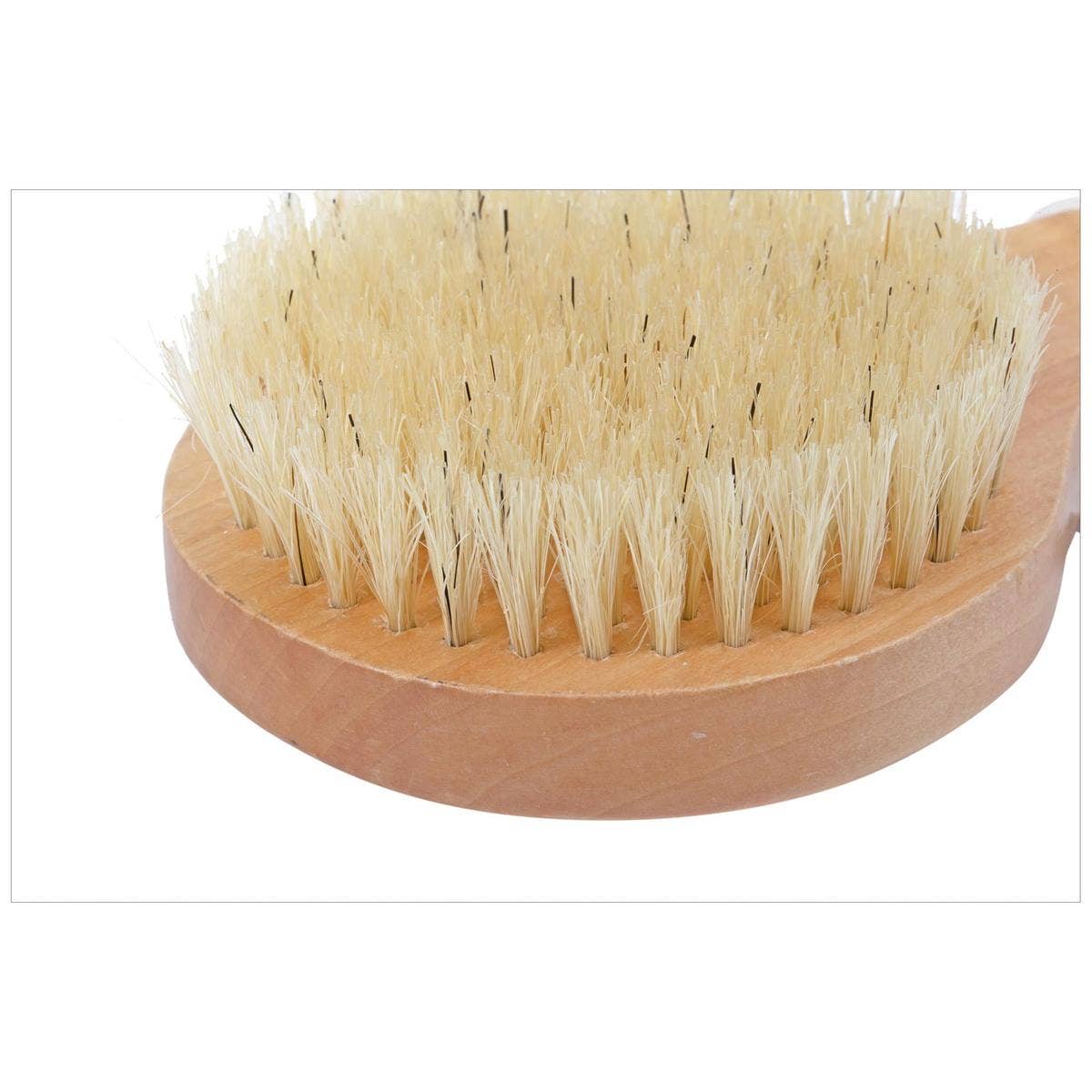 Bodico - Wholesale Body Scrub/Exfoliant - Bodico, Dry Brushing Exfoliatorw handle, 19*8*3.5cm1