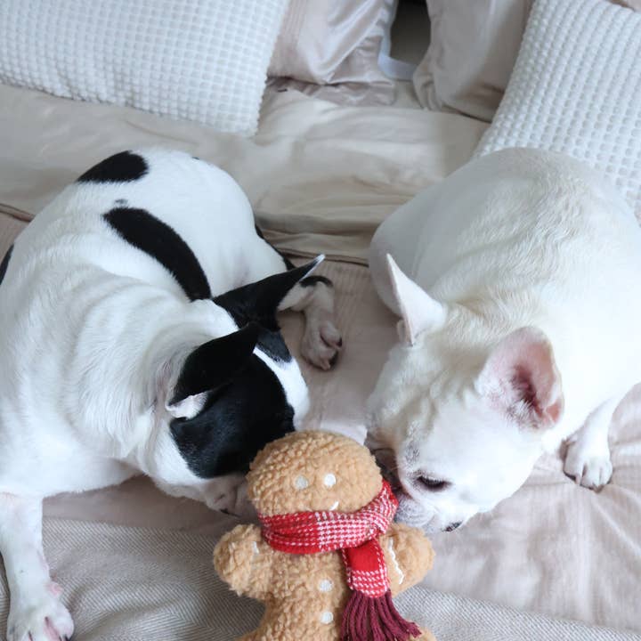 Lambwolf Collective - Vente Jouet couineur – chien - MISTER GINGERBREAD// Jouet de vacances//Jouet pour chien Enrichment1