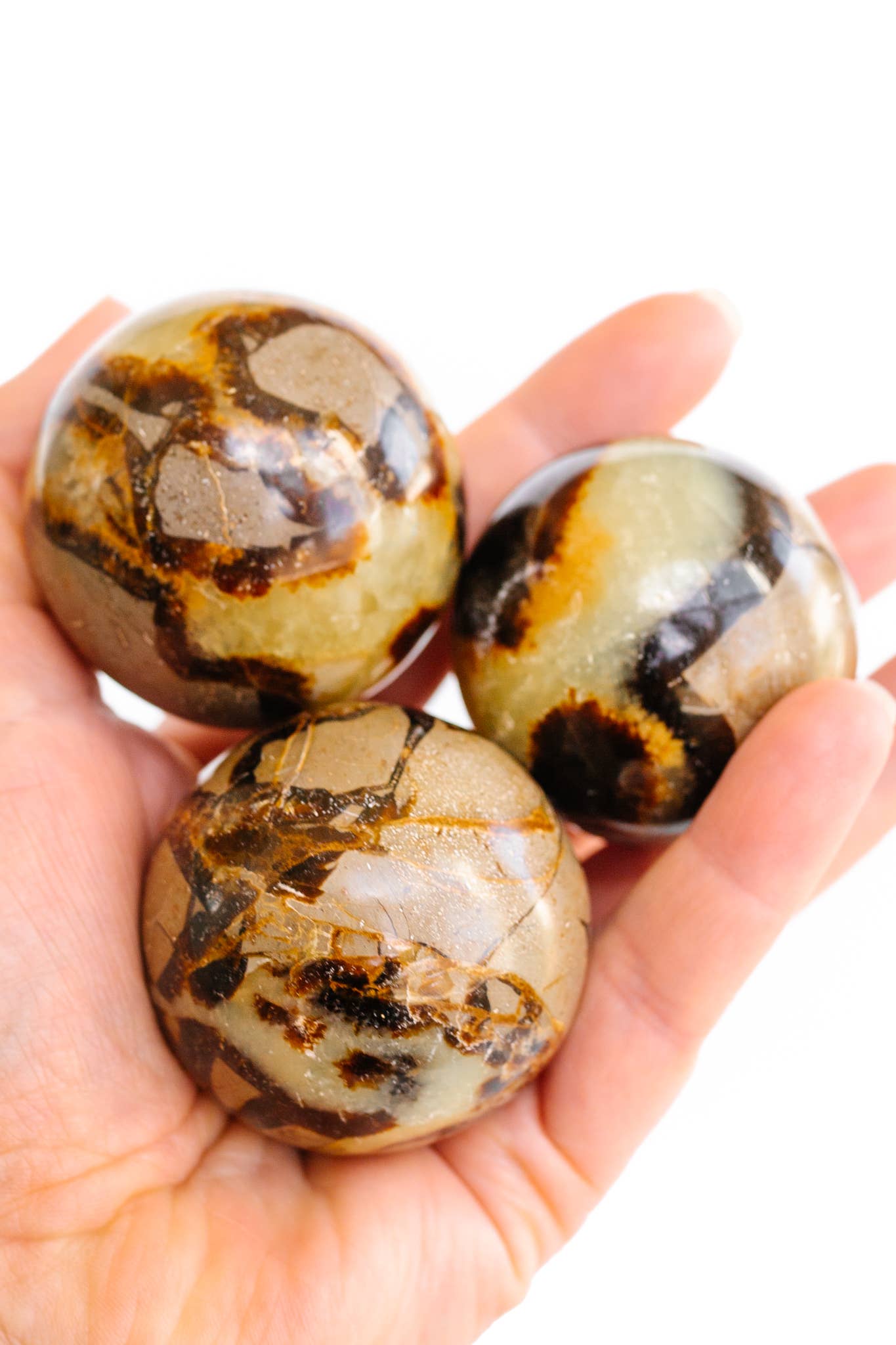 Apothecary Co. - Wholesale Spiritual Stone/Crystal - Septarian Dragon Sphere1