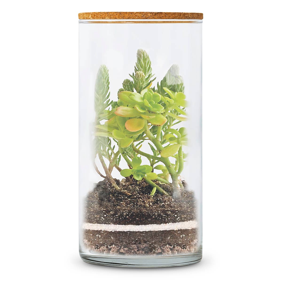 Garden Pocket - Wholesale DIY Craft Kit - TERRARIUM Succulents Kit1