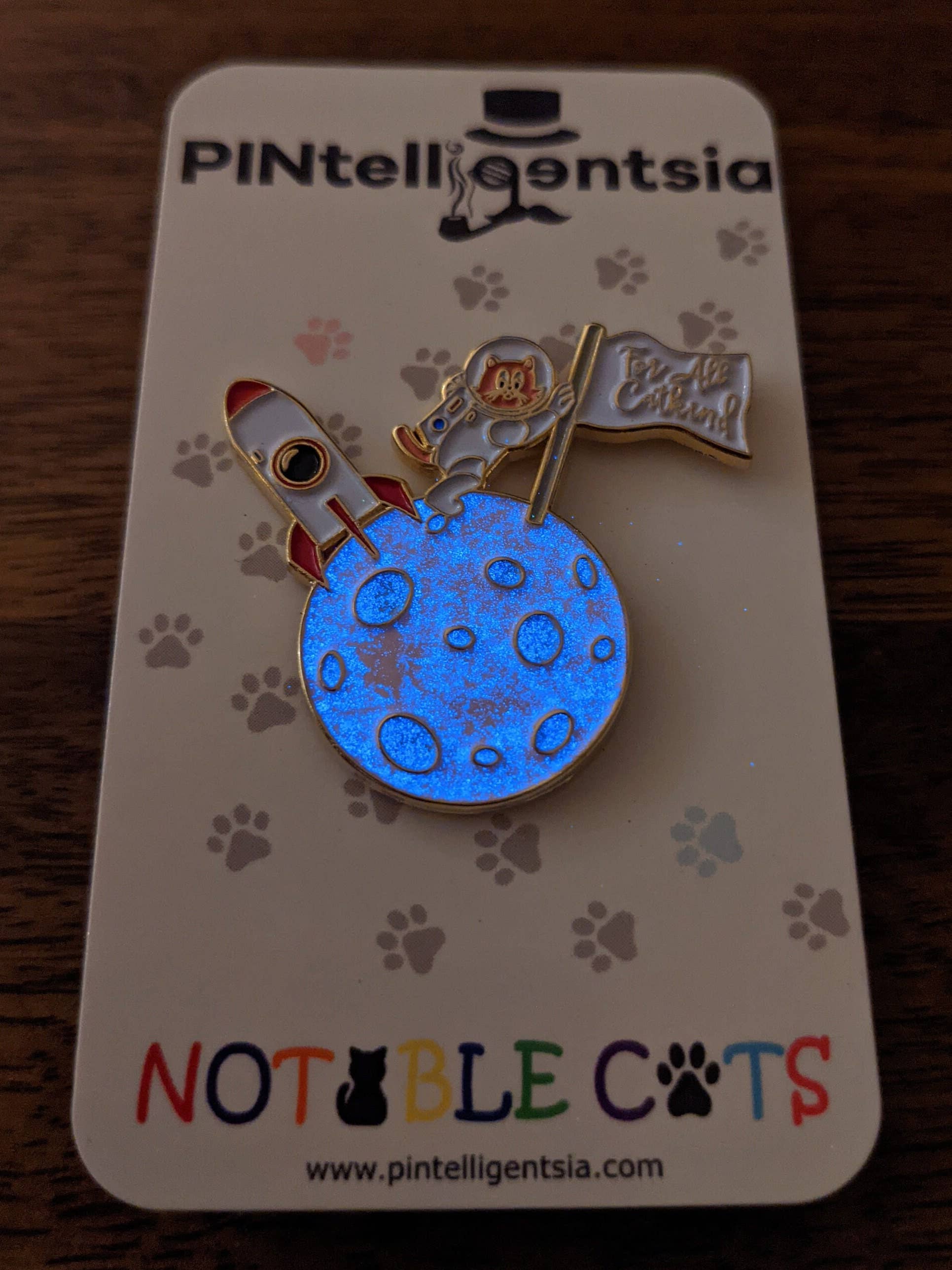 PINtelligentsia - Wholesale Reversspeld/knoop - Neil Armstrong emaille pin - „Neil Catstrong” gloeiende pin!2