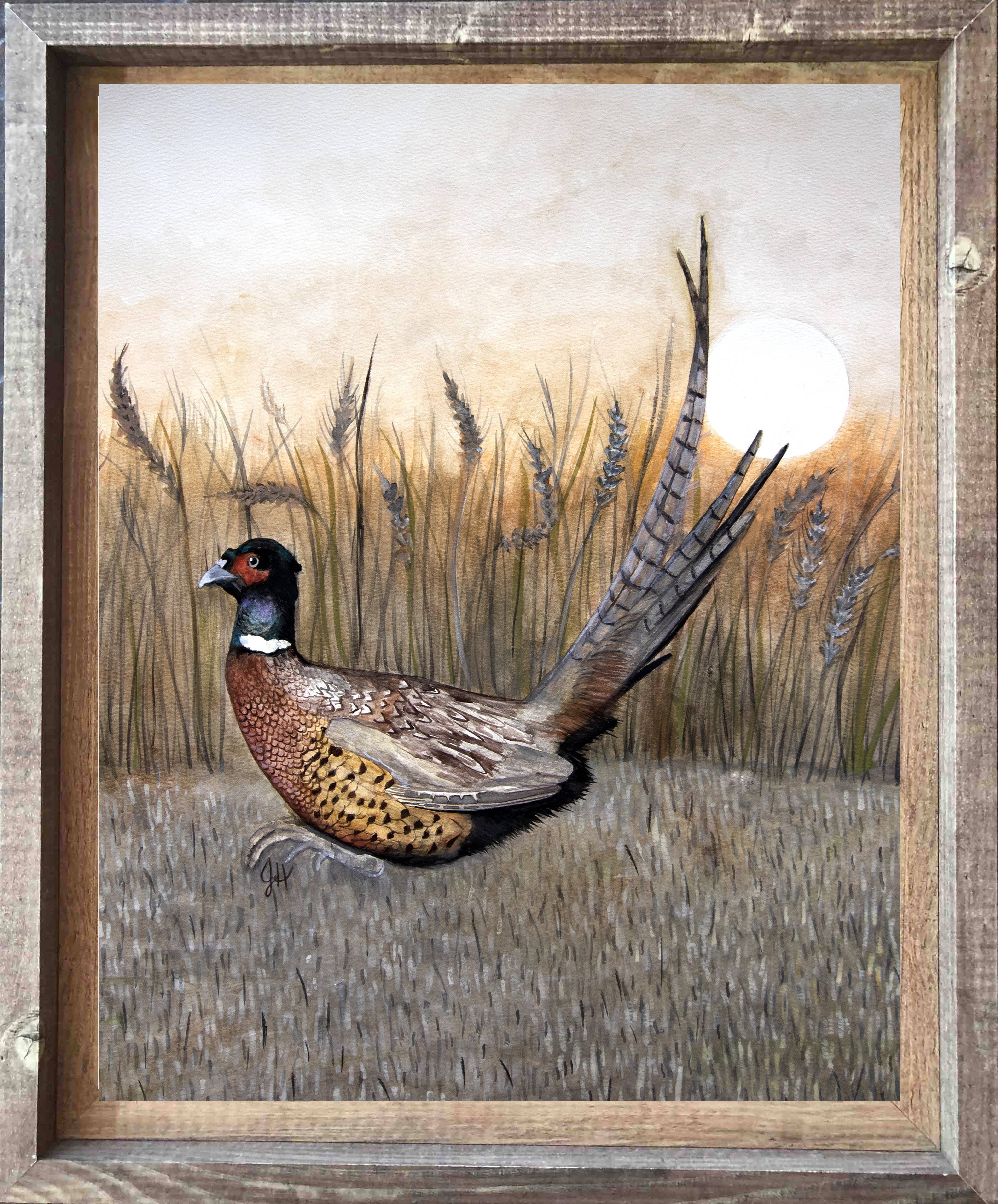 DOLLY ESTELLE - Wholesale Art Print - 11X14 Prints - Pheasantly Surprised