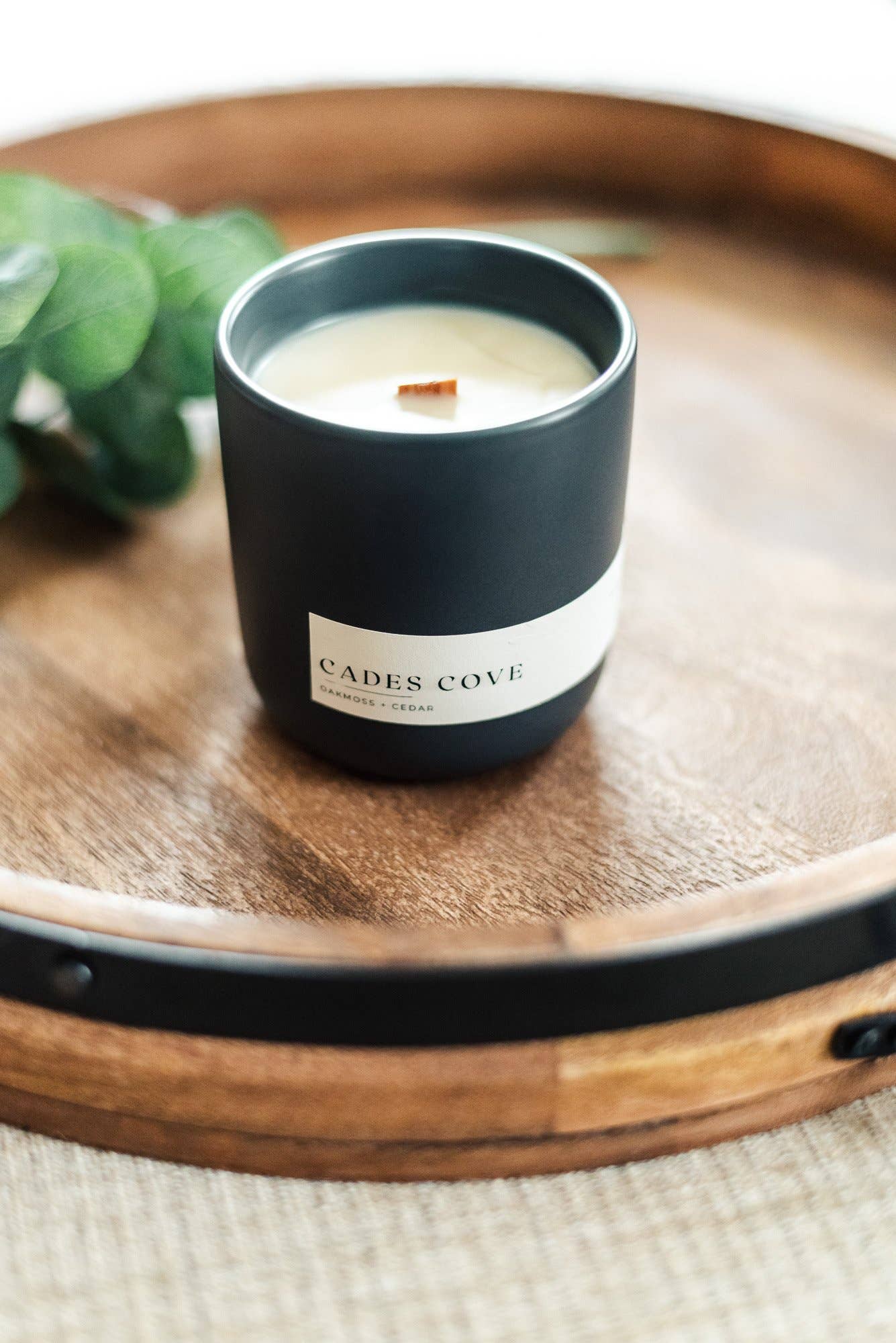 Solana - Wholesale Jar/Filled Candle - Cades Cove Candle (Oakmoss & Cedar)2