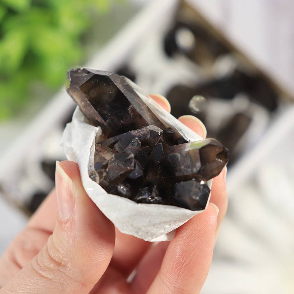 Natures Artifacts Inc - Vendita all'ingrosso Vetrina per rivenditori - Bellezza e benessere - Cluster di Quarzo Fumé in Vassoio (Piccolo)3