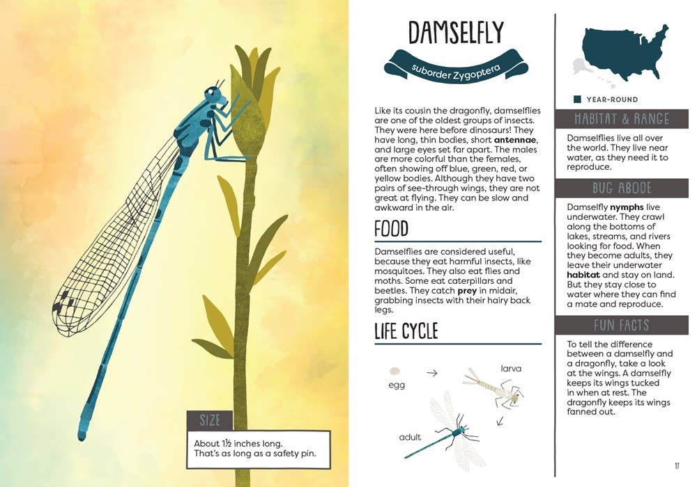 Gibbs Smith - Wholesale Nature & Outdoors - Kid’s Guide to Backyard Bugs1