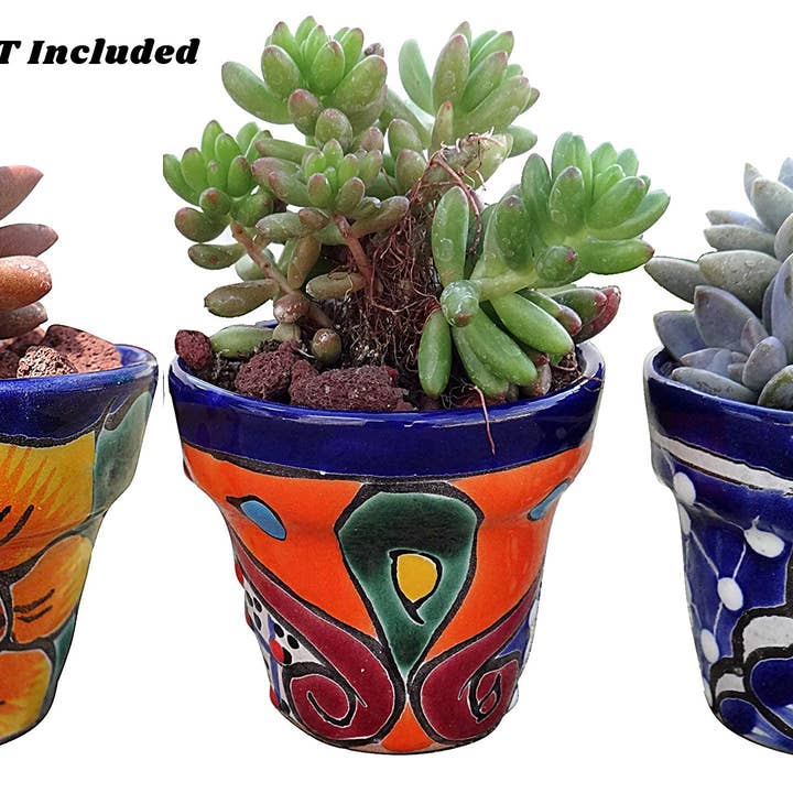 MEXTEQUIL - Wholesale Plant Pot - Talavera Hand-Painted Pottery Planters - Set of 3 (Flowers 2.8")
