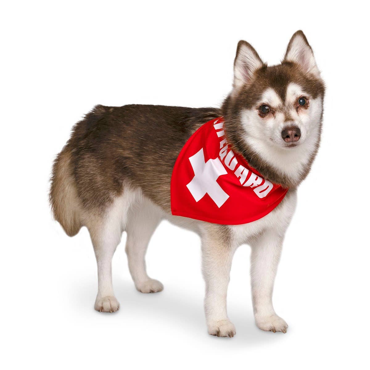 Midlee Designs – Disfarce – Gato e cão por atacado – Fantasia de cachorro de Halloween Midlee Shark vs. salva-vidas13