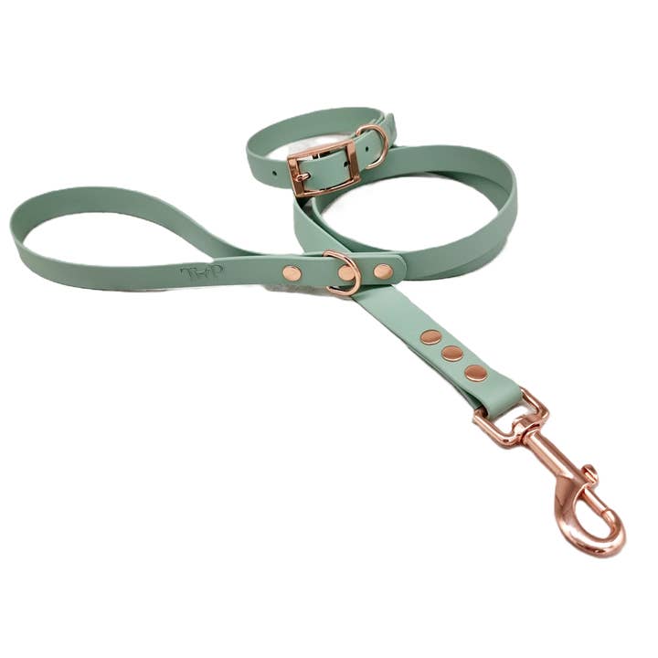 Trinkety Paws - Wholesale Pet Collar - Dog - SAGE - Waterproof BioThane© Dog Collar / Dog Lead9