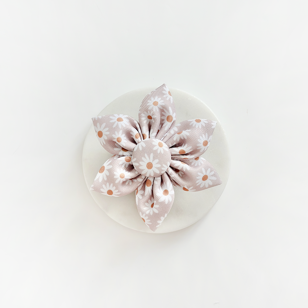 Cocopup London – wholesale Pet collar – Dog – Daisy Chain Collar Flower1