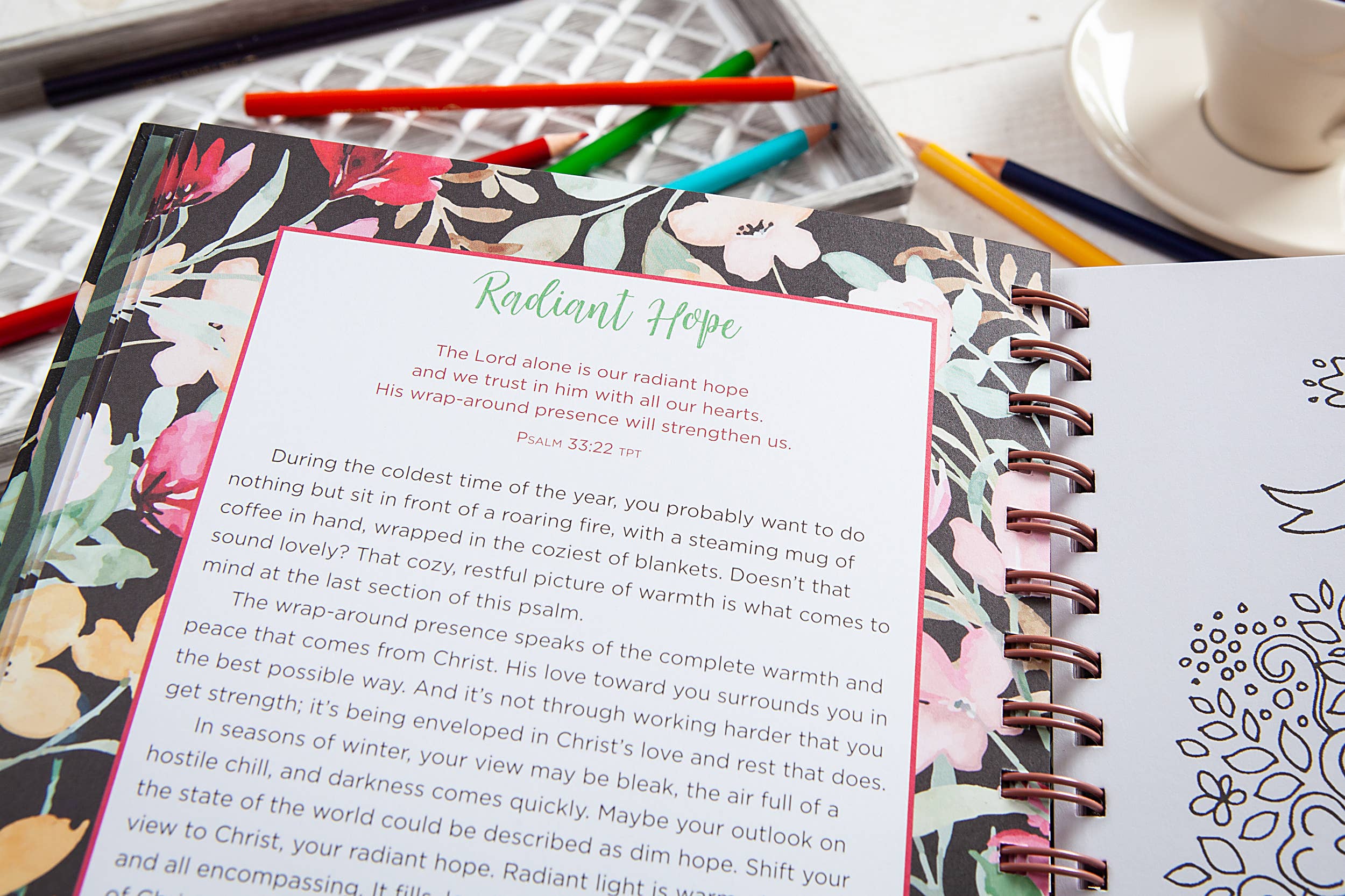 BroadStreet Publishing Group, LLC - Wholesale Coloring & Activity Book - Adult - Think on These Things (Devotional Coloring Book)3