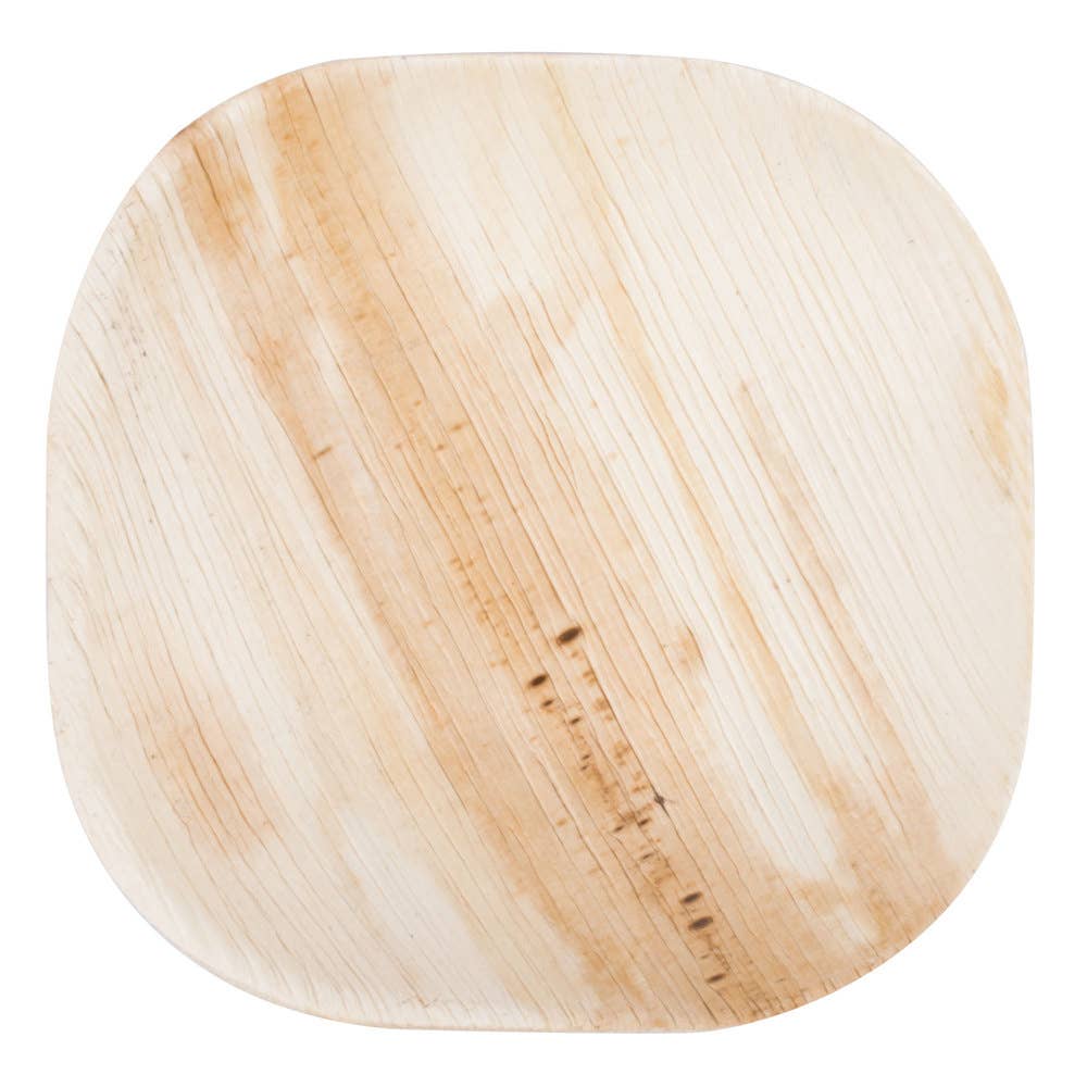 Karmic Seed - Wholesale Disposable Plate - Palm Leaf Bamboo Like Square Plates- Pack of 25 plates8