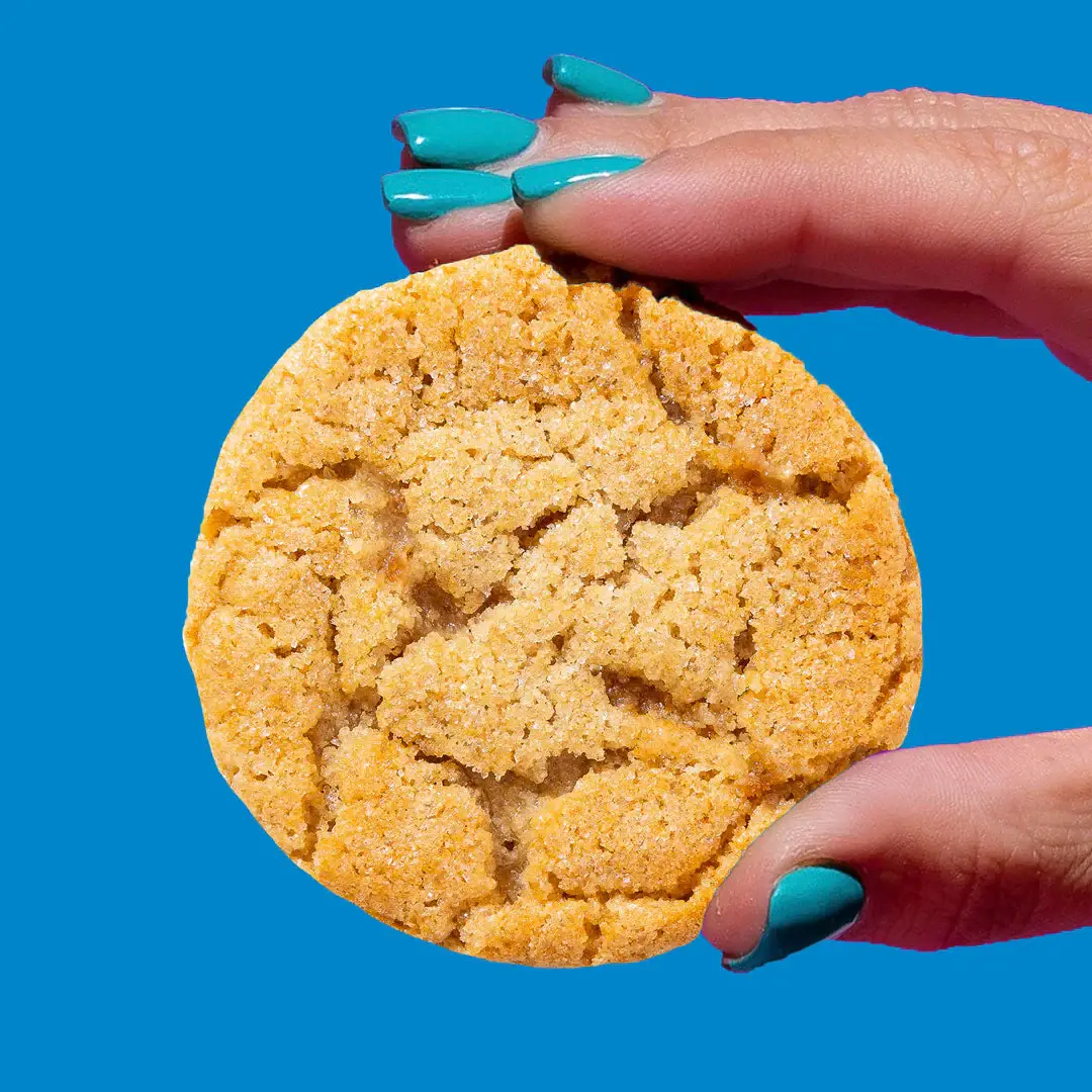 Whoa Dough – Großhandel Cookie – Zuckerplätzchen Fertigteig: Glutenfrei, Vegan1