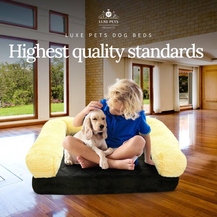 Luxe Pets Products - Wholesale Pet Bed - Dog - Pet Bed Memory Foam Luxurious Velvet, Faux Fur - Medium, Black Gold