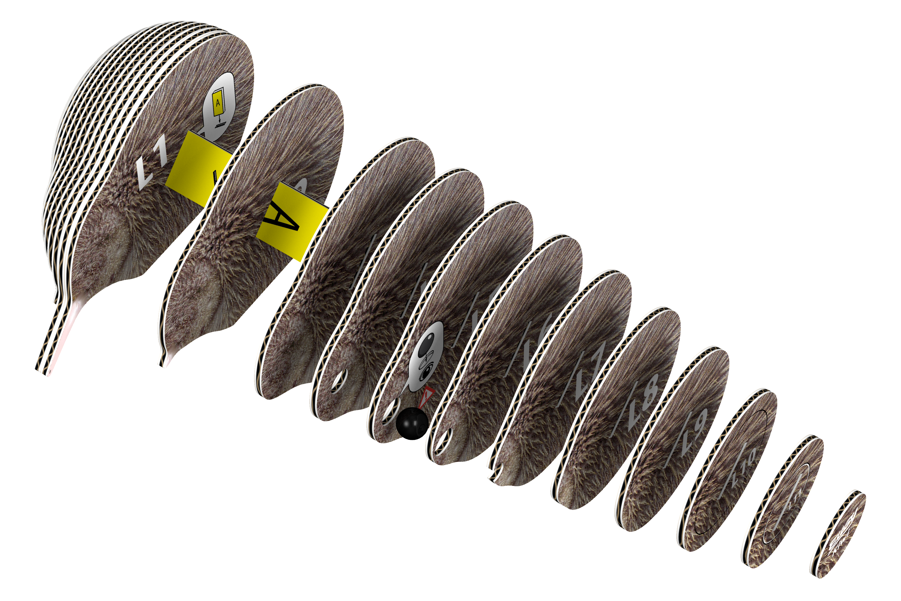 Safari Ltd. - Wholesale Puzzle - Kids - EUGY Kiwi 3D Puzzle2