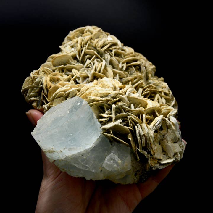 Caspar Curiosities - Wholesale Spiritual Stone/Crystal - 4.7lb XL Raw Aquamarine Crystal Cluster Pink Fluorite Muscovite Matrix, Pakistan