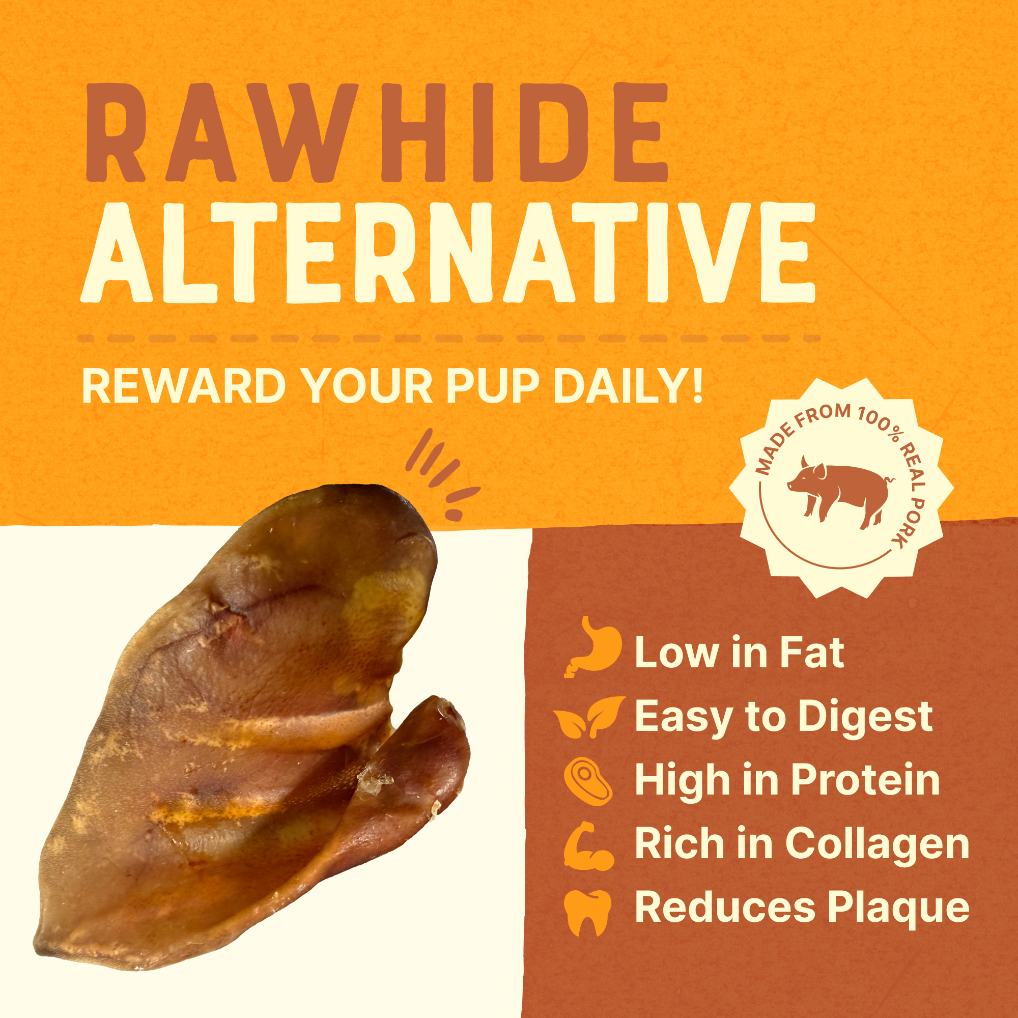 Gaines Family Farmstead - Wholesale Pet Treats - Dog - Pig Ears7