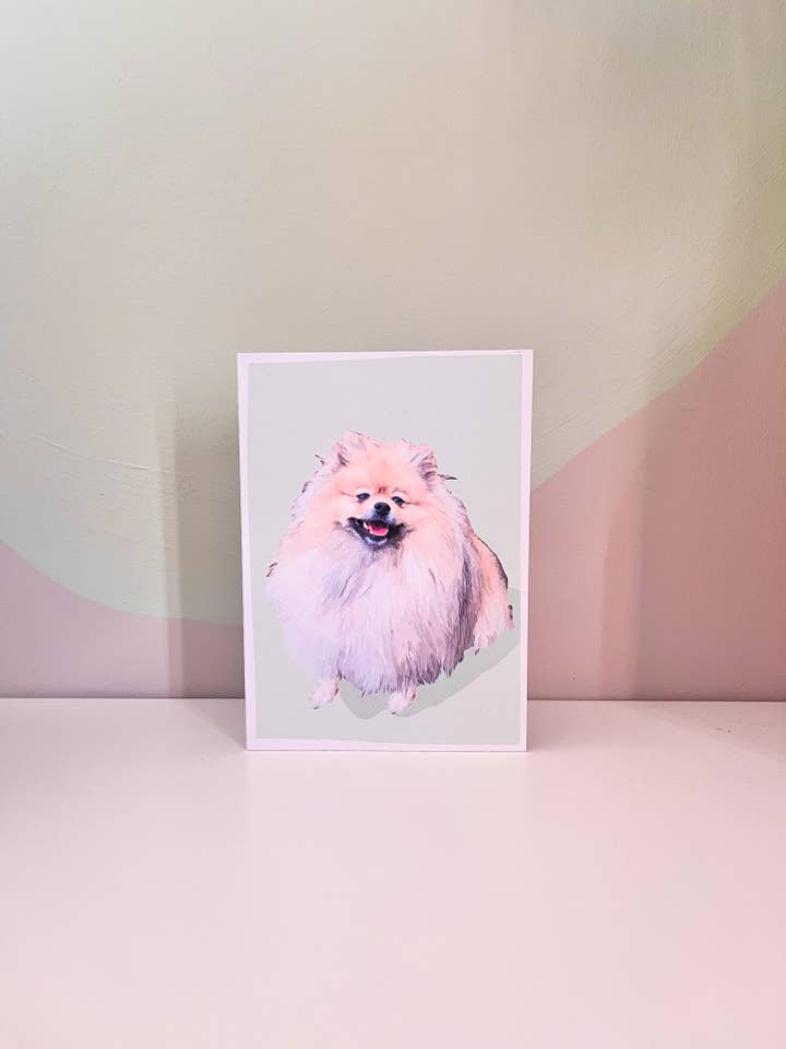 Biglietti di auguri POMERANIAN, Manchester, pacchetto, ritratto di animale domestico per la vendita all'ingrosso da parte di Blümeli Shop