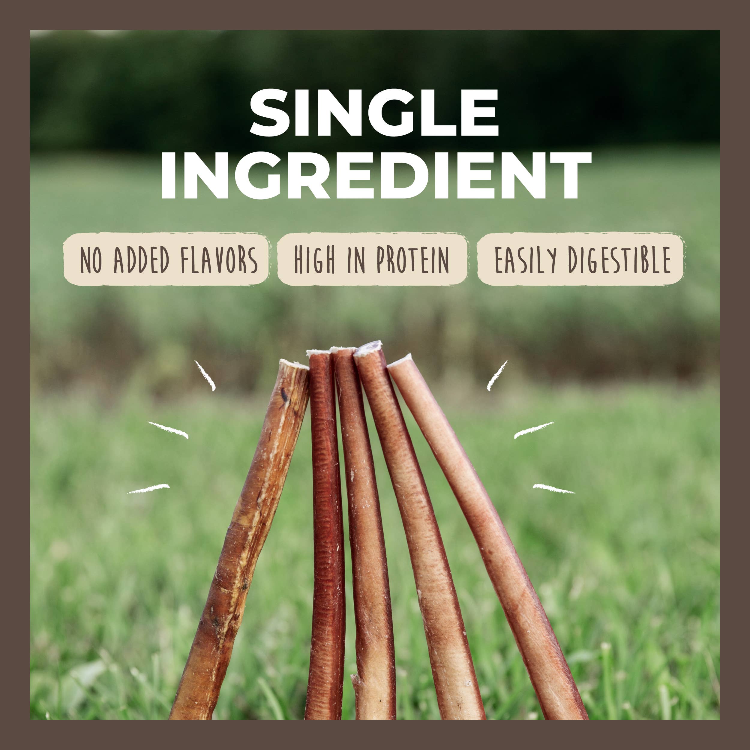 Mighty Paw - Venta al por mayor Chuches - Perros - Paquete variado de palos Naturals Bully6