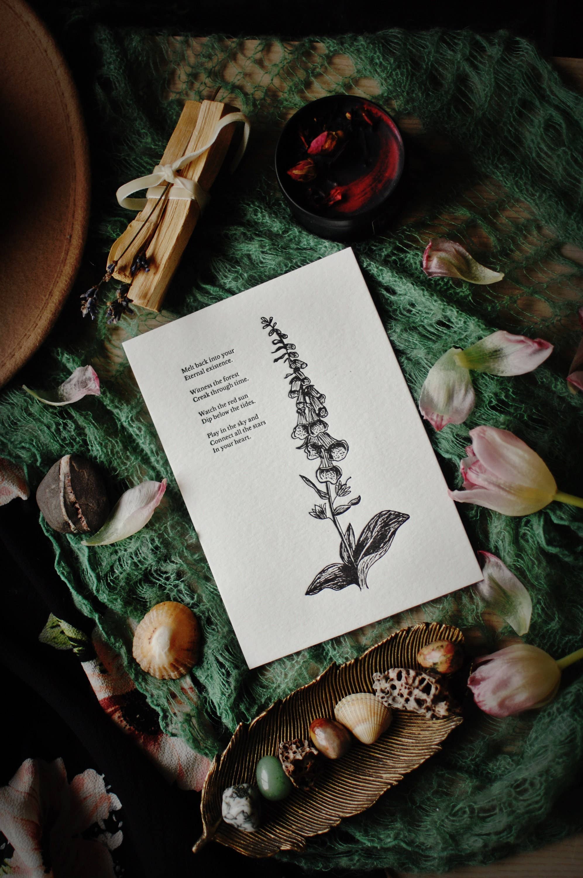 Velvetback - Wholesale Art Print - Foxglove 5" x 7" Botanical Letterpress Print3