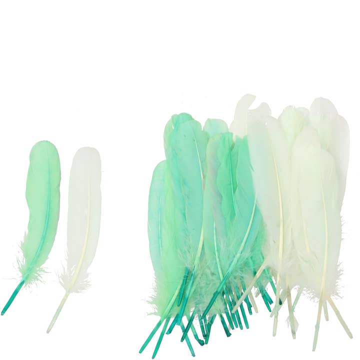 Veertjes Timor, 2 kleuren, 20 g / zak, L25cm, lichtgeel voor wholesale door Vosteen