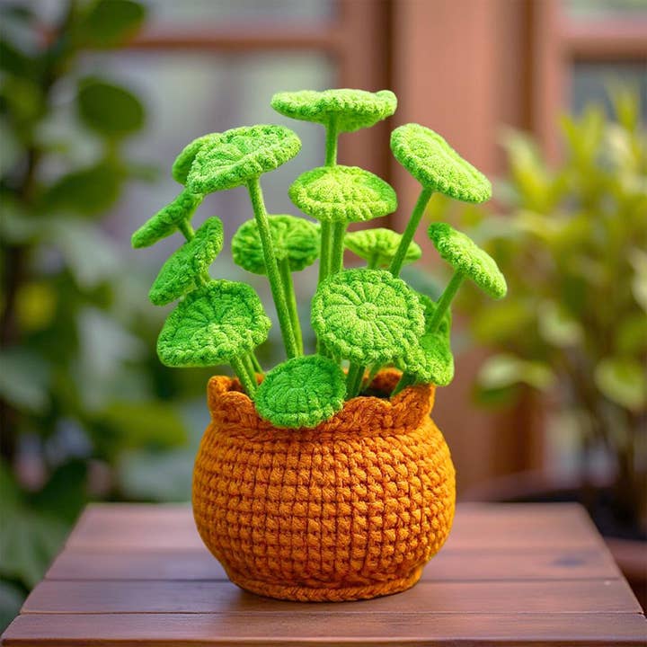 Plante d'argent chinoise au crochet fait main | OVNI | Décoration de plante Pilea | Plante d'intérieur en fil | Jolie verdure | Plante en pot artificielle | Décoration intérieure pour la vente par PinkLadyWorkshop