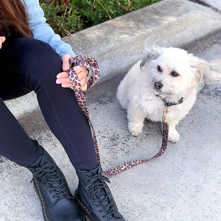Boulevard - Wholesale Pet Leash - Dog - Leopard Dog Leash